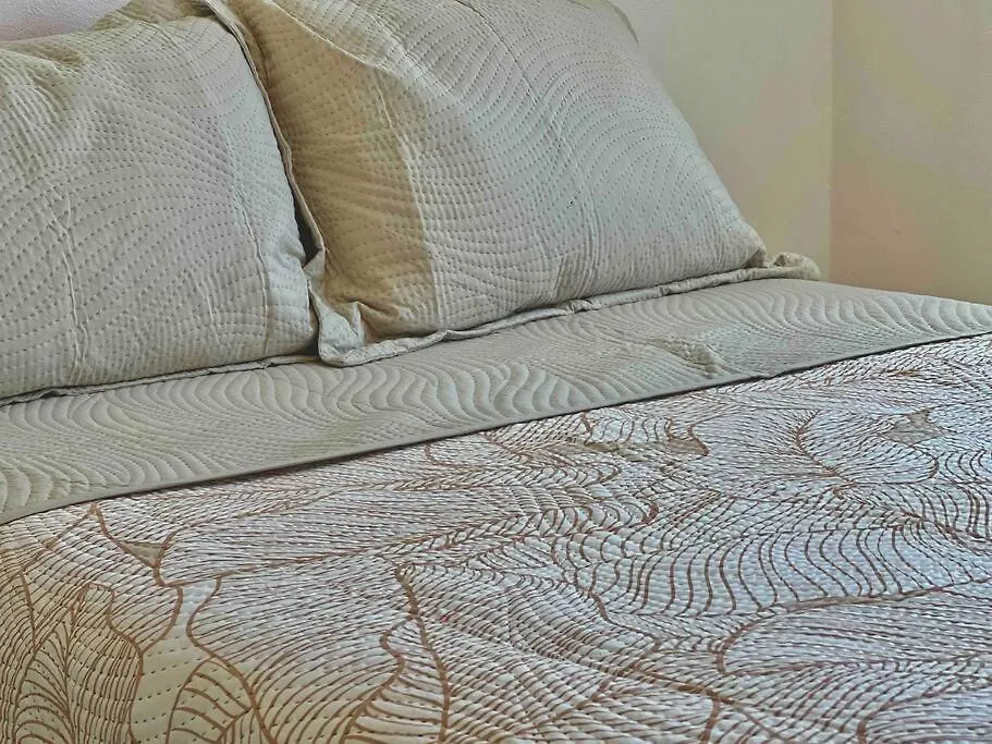 Casa Con Alberca 8Min A La Playa Ac Y Pet Friendly Apartment Las Jarretaderas